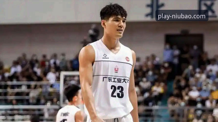 牛宝体育官网入口 陈国豪回避条款详解:从限制到全禁的规则演变与赛场影响